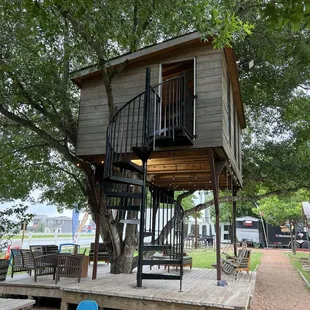 a tree house with a spiral staircase