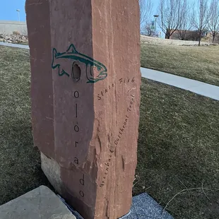 Colorado state fish!