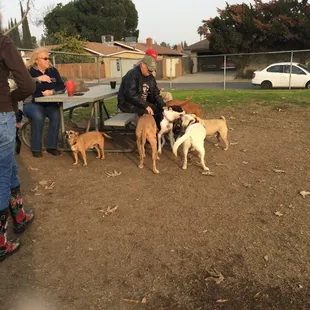 Oona's the black and white one.