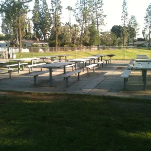 3 areas with many picnic tables for parties
