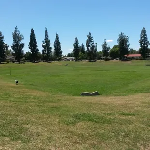 It's beautiful here! (Doggie park)