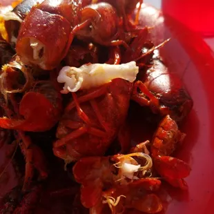 Crawfish