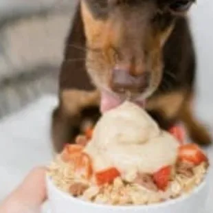 Pup sundaes