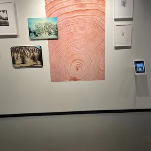 Tree rings