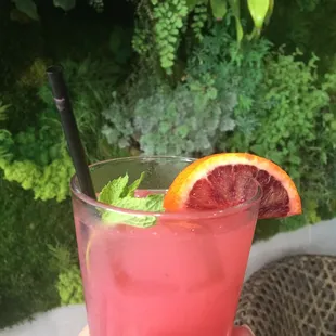 Blood Orange Mojito
