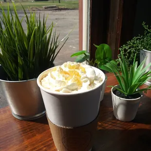 a cup of coffee and a potted plant