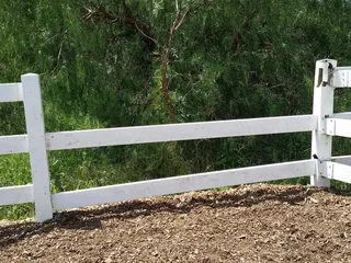 Graceland Equestrian Center