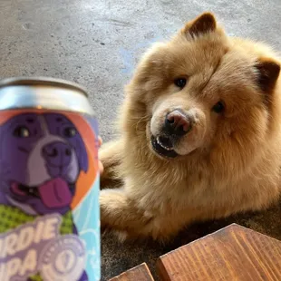 Having a frosty cold Birdie IPA with my man Butters.