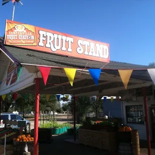 An array of fresh fruit and vegetables with delicious white peaches.