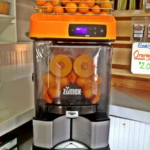 Freshly-squeezed OJ's