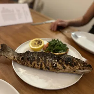 Branzino