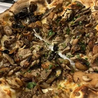 Funghi