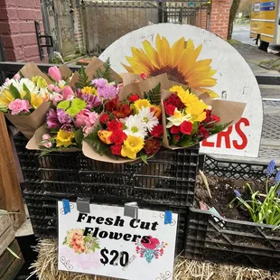 exterior flowers for sale