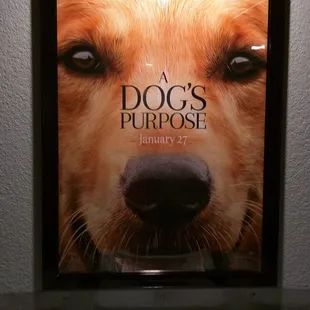 Today's movie 1/27/16