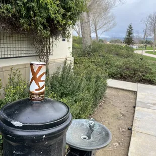 XS energy drinks at Sure Solutions, https://www.amway.com/myshop/sureonlinestore