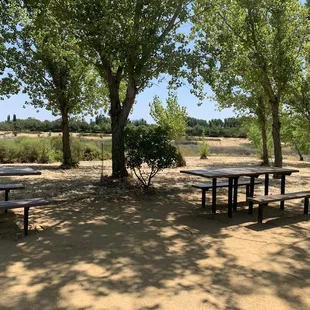 One of many Picnic areas
