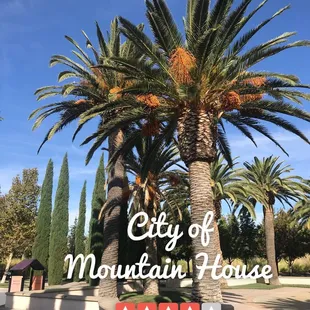 In the city of Mountain house