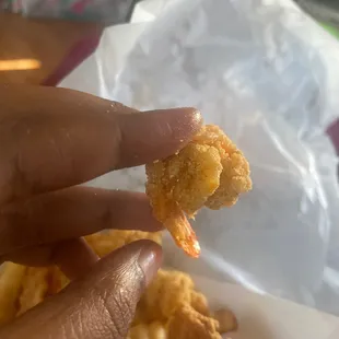 The smallest shrimp I've ever seen.