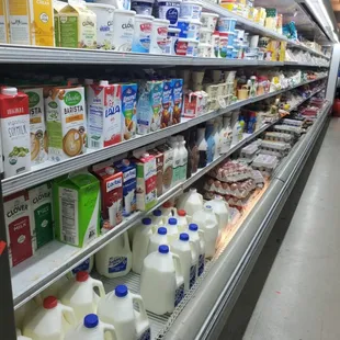 All dairy products