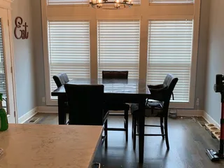 The Shady Lady Interiors