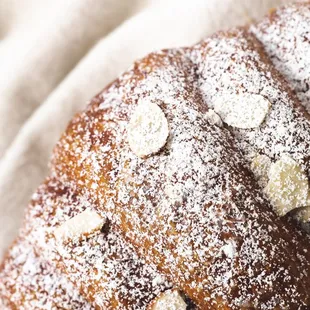 a pastry covered in powdered sugar