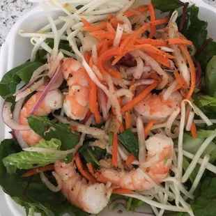 Shrimp salad. Yummy, but odd that there was raw Swiss chard (?)