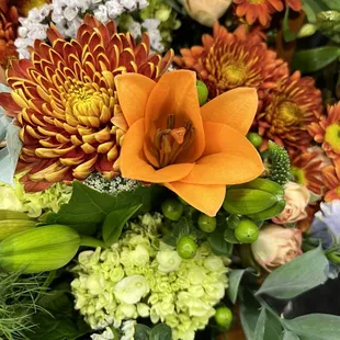 Monday, Monday! (11/07/22)