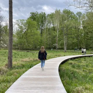 Stephanie A.