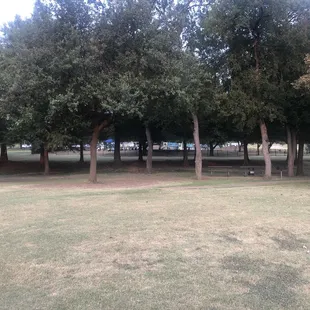 Playground for kids pass the trees