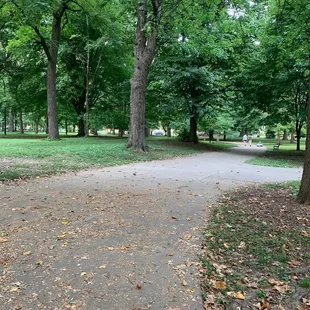 Pathway in the park