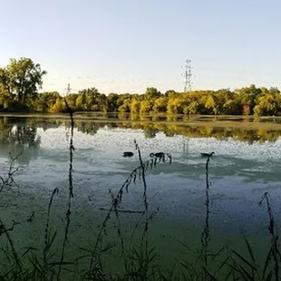 Central Park