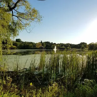 Beautiful night on the northside view of the fountain.