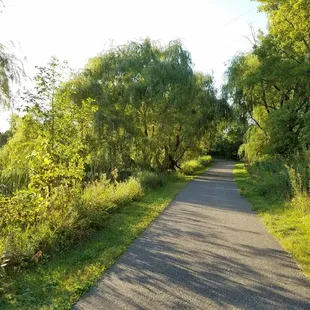 Northside of the walking trail.