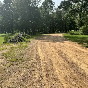 Walking on a dirt road in this park.... Truthfully speaking.... I'm not sure how safe this park is