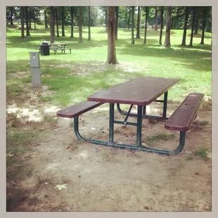 Let's have a picnic @ the park!