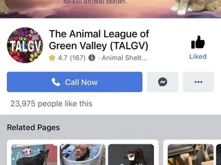 Animal League of Green Valley