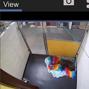 Pics of the dog in the kennel