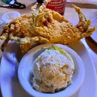 Soft Shell Crab