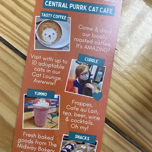 Cat Cafe Info.
