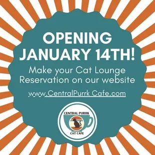 Book your reservation, arrive and grab food and drinks at the bar. Find a cozy spot and drown in a pile of cats.