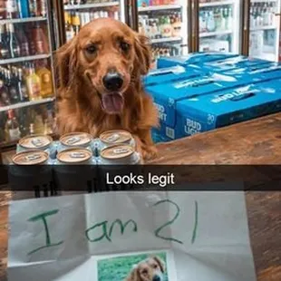 Well this time only!!