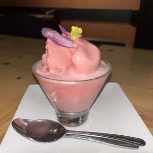 Raspberry champagne Sorbet