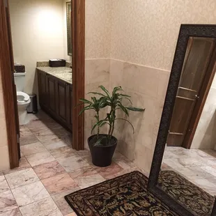 Classy bathroom status