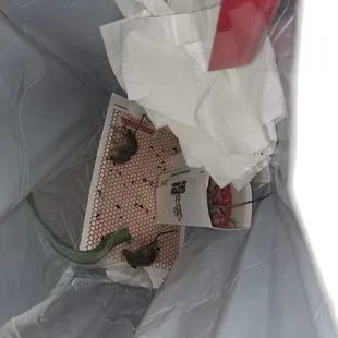 Three in one weekend I was out of town.