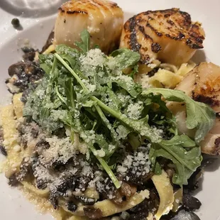 scallops, pasta, and spinach on a white plate