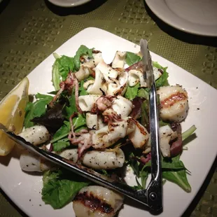 Grilled Calamari