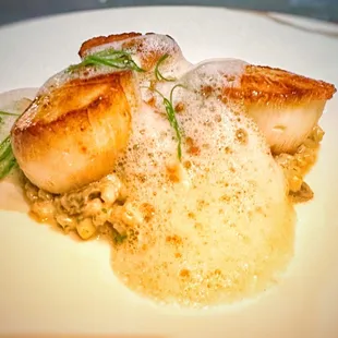 Scallops