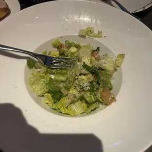 Ceaser Salad