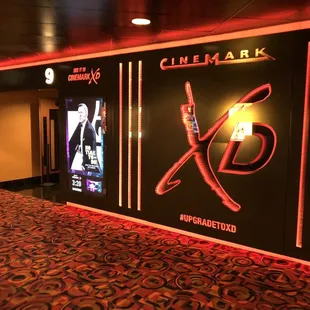 The only way to appreciate Bond!