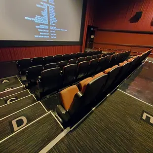 Auditorium seating